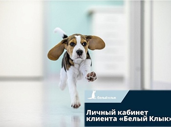 Онлайн-запись на приём через личный кабинет на сайте «Белого Клыка»