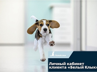Записаться на прием легко через личный кабинет на сайте «Белого Клыка»